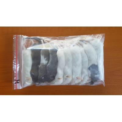 Frozen Rats - Hoppers - 10 Pack